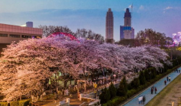 抖音吃瓜爆料官方入口,独家爆料，一网打尽热门事件！”